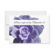 Lila Succulent  rsvp