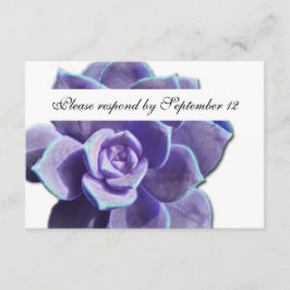 Lila Succulent  rsvp Kaartje