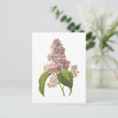 lila (Syringa sp.) door Redouté Briefkaart (Staand voorkant)