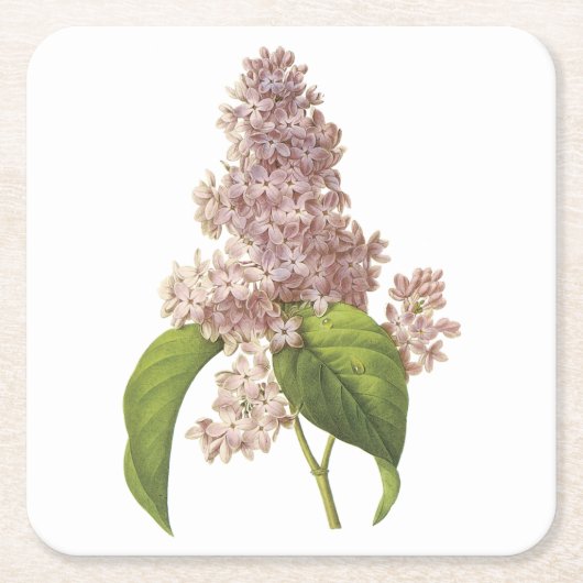 lila (Syringa sp.) door Redouté Kartonnen Onderzetters (Voorkant)