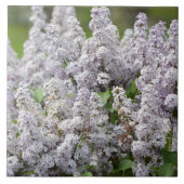 Lila Tegeltje (Voorkant)