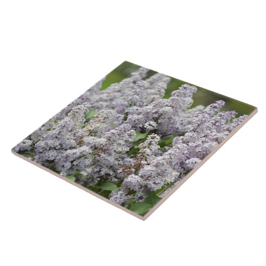 Lila Tegeltje (Zijkant)