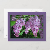 LILA    TIMEPostcard Briefkaart (Voorkant / Achterkant)