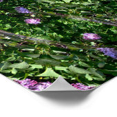 Lila tuinhuizen.. poster (Hoek)