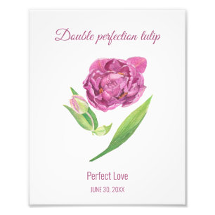Lila tulp dubbele perfectie perfecte liefde foto afdruk
