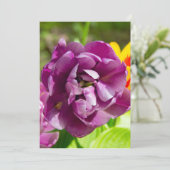 Lila tulpen op een zonnige dag (Staand voorkant)