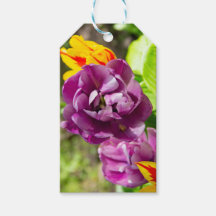 Lila tulpen op een zonnige dag