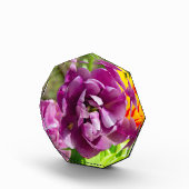 Lila tulpen op een zonnige dag fotoblokken (Rechts)