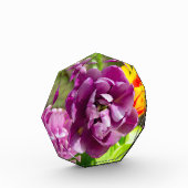 Lila tulpen op een zonnige dag fotoblokken (Links)