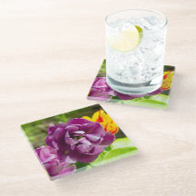 Lila tulpen op een zonnige dag