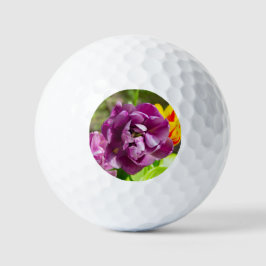 Lila tulpen op een zonnige dag golfballen