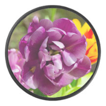 Lila tulpen op een zonnige dag