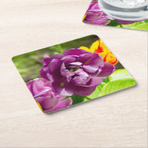 Lila tulpen op een zonnige dag