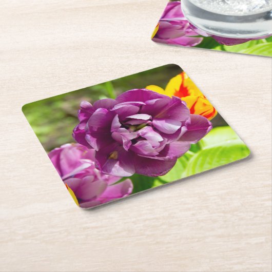 Lila tulpen op een zonnige dag kartonnen onderzetters (Schuin)