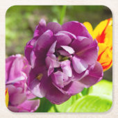 Lila tulpen op een zonnige dag kartonnen onderzetters (Voorkant)