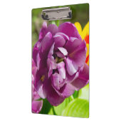 Lila tulpen op een zonnige dag klembord (Links)
