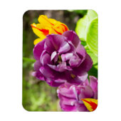 Lila tulpen op een zonnige dag magneet (Verticaal)