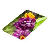 Lila tulpen op een zonnige dag magneet (Linkerzijde)