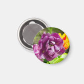 Lila tulpen op een zonnige dag magneet (Voorkant / Achterkant)