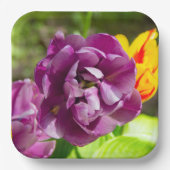 Lila tulpen op een zonnige dag papieren bordje (Voorkant)