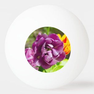 Lila tulpen op een zonnige dag pingpongbal