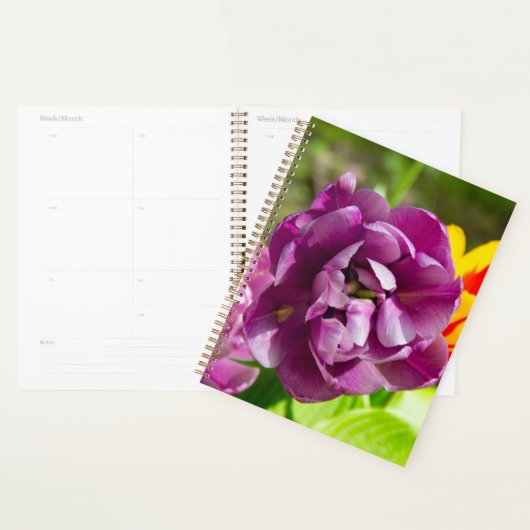 Lila tulpen op een zonnige dag planner (Display)