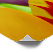 Lila tulpen op een zonnige dag poster (Hoek)