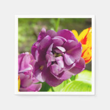 Lila tulpen op een zonnige dag