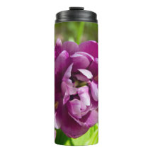 Lila tulpen op een zonnige dag