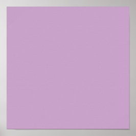 Lila vaste kleur poster