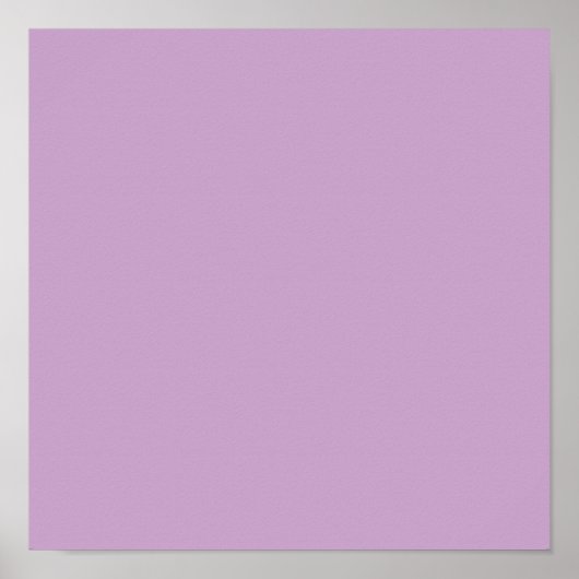 Lila vaste kleur poster (Voorkant)