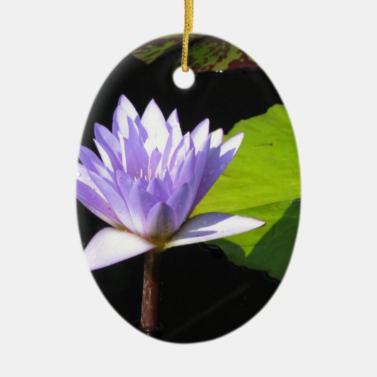 Lila ventilator met Lili Pads in Longwood Gardens Keramisch Ornament (Voorkant)