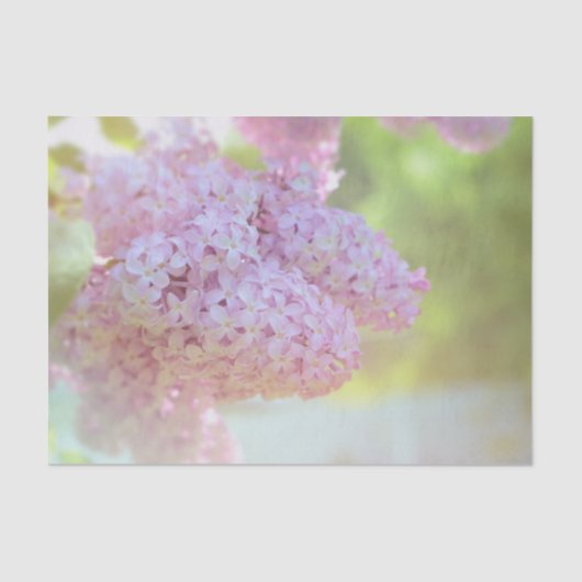 Lila ventilatorlicht Paars mooi land Tissuepapier (Voorkant)