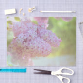 Lila ventilatorlicht Paars mooi land Tissuepapier (Craft)