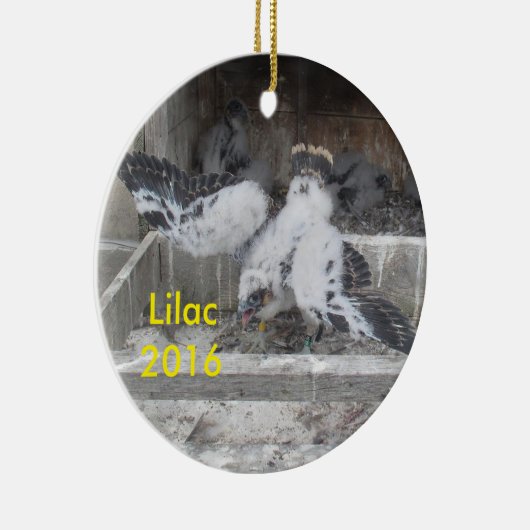 lila versiering 2016 keramisch ornament (Rechts)