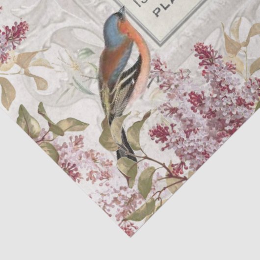 Lila Vloeibaar Frans Lijst ontkoppeling Tissuepapier (Detail)