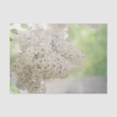 Lila Vloeiend Wit Land Botanisch Tissuepapier (Voorkant)