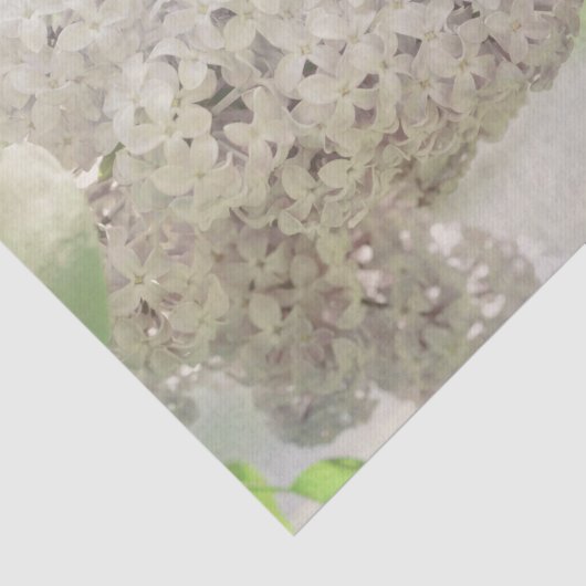 Lila Vloeiend Wit Land Botanisch Tissuepapier (Detail)