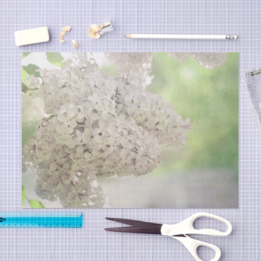 Lila Vloeiend Wit Land Botanisch Tissuepapier (Craft)