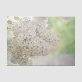 Lila Vloeiend Wit Land Botanisch Tissuepapier