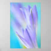 Lila vlokken poster (Voorkant)