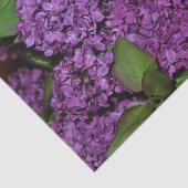 Lila weefselpapier tissuepapier (Detail)