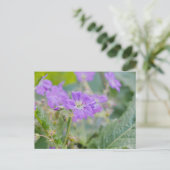 Lila Wildflower Foto Geranium Botanische Bloem Briefkaart (Staand voorkant)