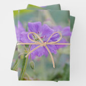 Lila Wildflower Foto Geranium Botanische Bloem Inpakpapier Vel (In situ)