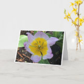 Lila Wonder Tulip, kaart (Gele Bloem)
