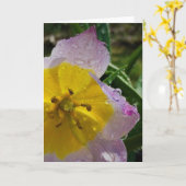 Lila Wonder Tulip, kaart (Gele Bloem)