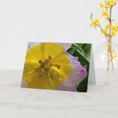 Lila Wonder Tulip, kaart (Gele Bloem)