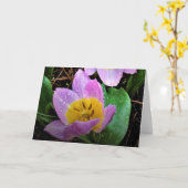Lila Wonder Tulip, kaart (Gele Bloem)