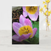 Lila Wonder Tulip, kaart (Gele Bloem)