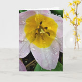 Lila Wonder Tulip, kaart (Gele Bloem)
